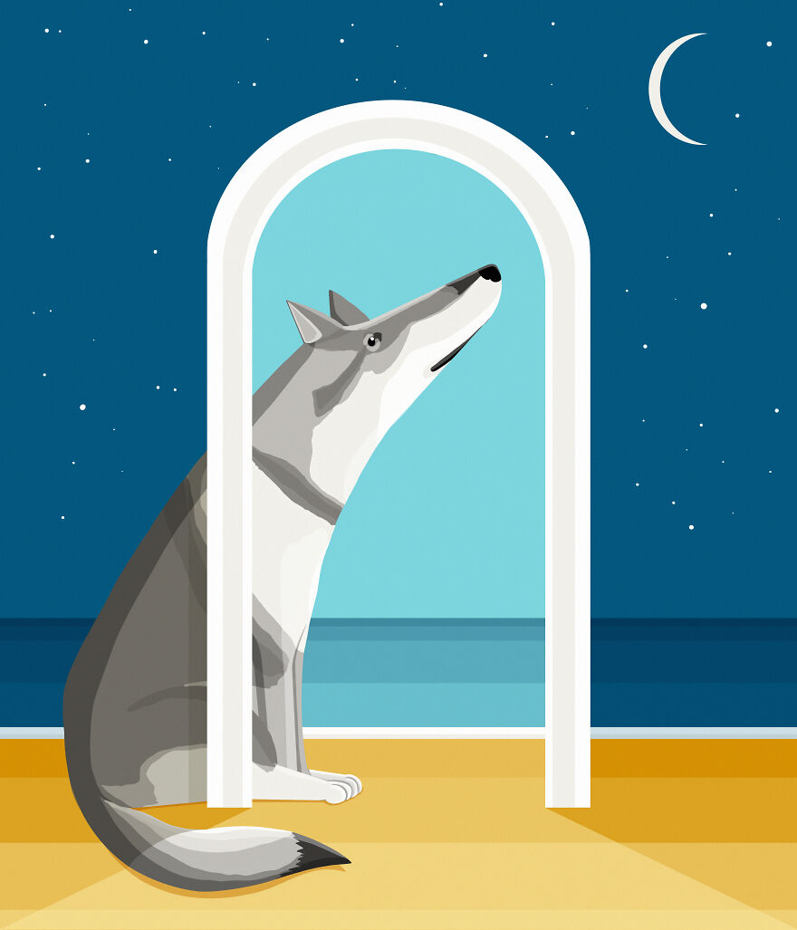 Dogs From The World-A Lovely Collection Of Our Best Friends Portraits