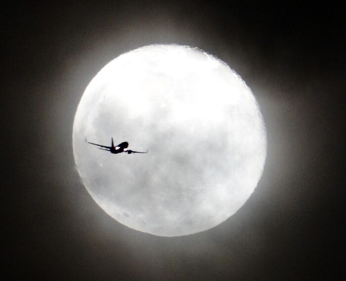 Lucky Shot While Holding Camera (Not On A Tripod) And Drunk From Wine