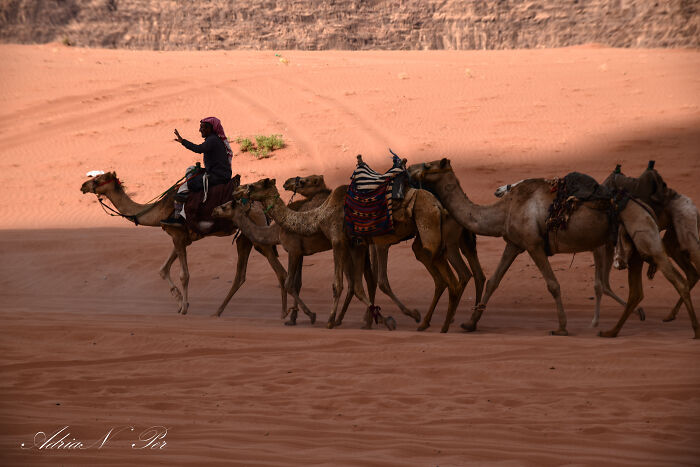 I Visited Desert Wady Rum In Jordan