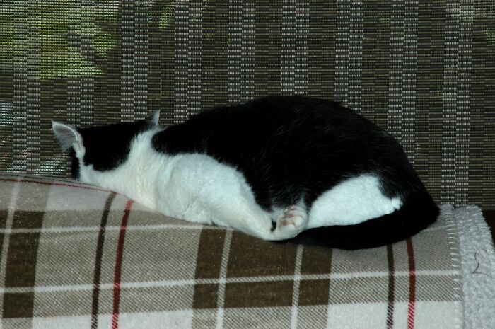 Not Sure What To Say About This