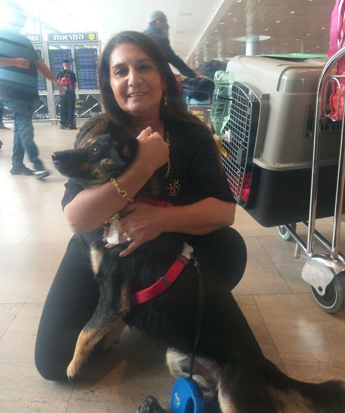 The Shocking Reality Of Animals In War Zones: How We Are Helping Animal Shelters In Gaza-Israel War