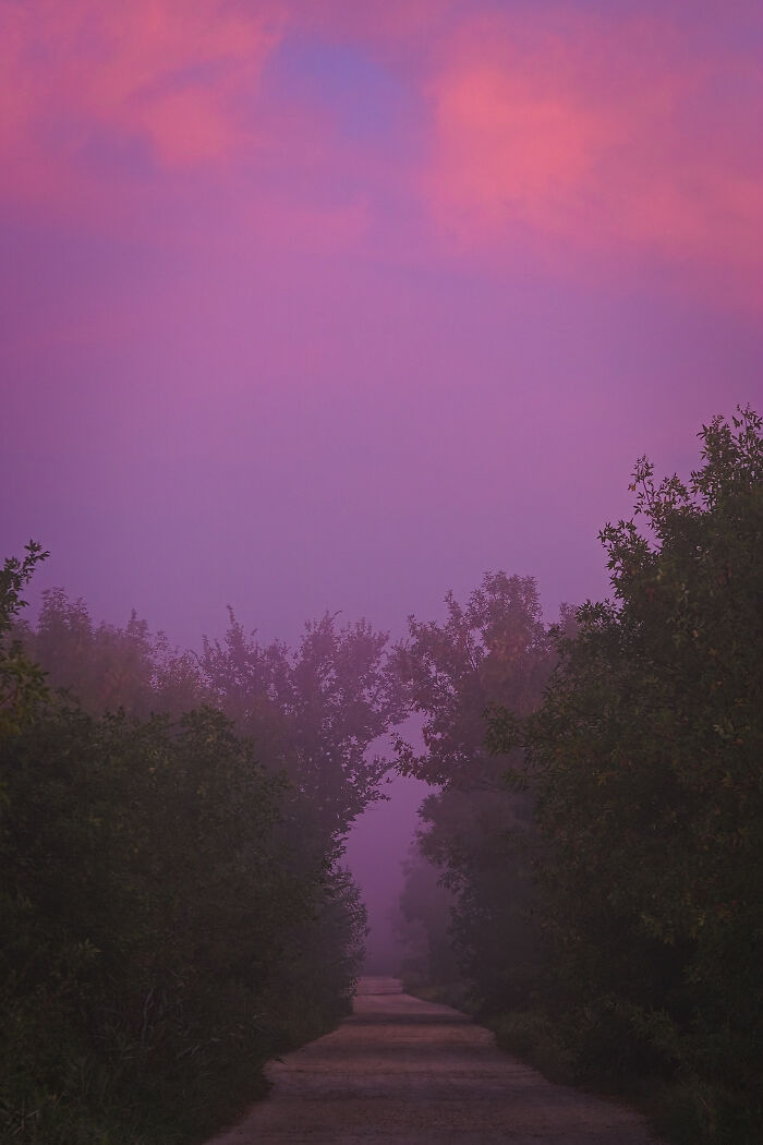 The Path To The Lake