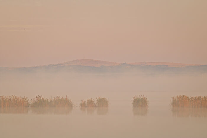 Fog After Sunrise