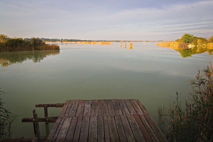 This Is What It Looks Regularly