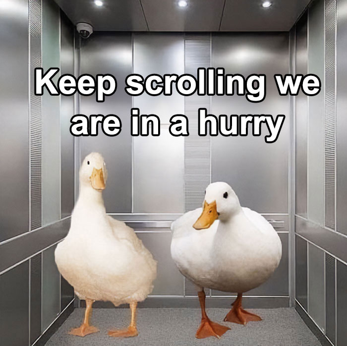 No Time To Waste, Keep Doing Your Job