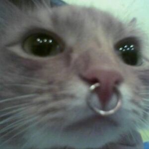 masonstanford avatar