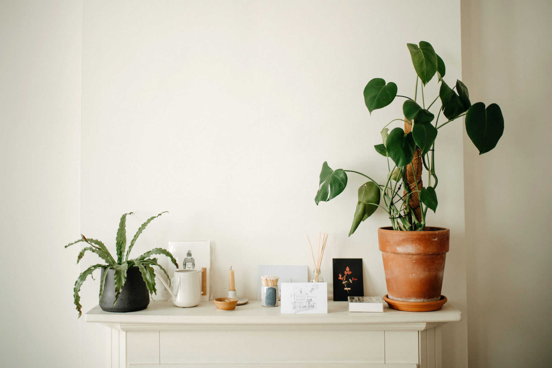 Mantel decorated with flowerpots, candles and small pictures