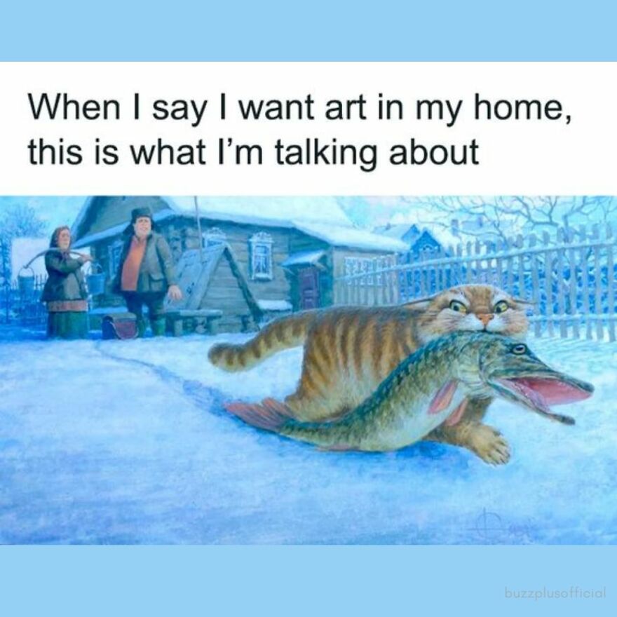 Funny Daily Memes For You Funny Daily Memes For You