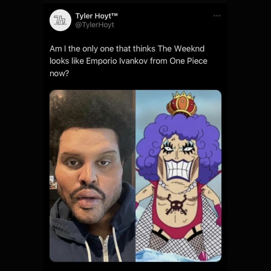 Funny Daily Memes For You Funny Daily Memes For You