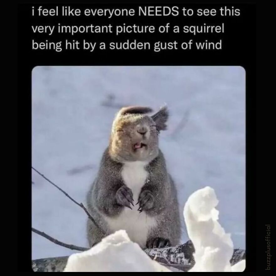 Funny Daily Memes For You Funny Daily Memes For You