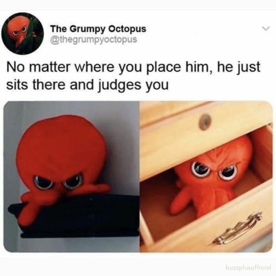 Funny Daily Memes For You Funny Daily Memes For You