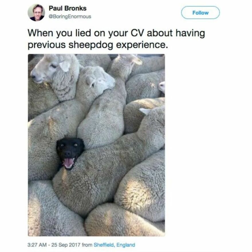 Funny Daily Memes For You Funny Daily Memes For You