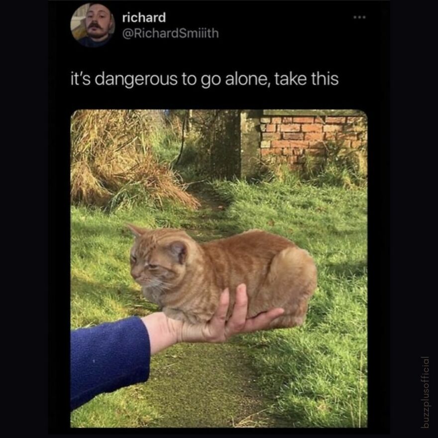 Funny Daily Memes For You Funny Daily Memes For You