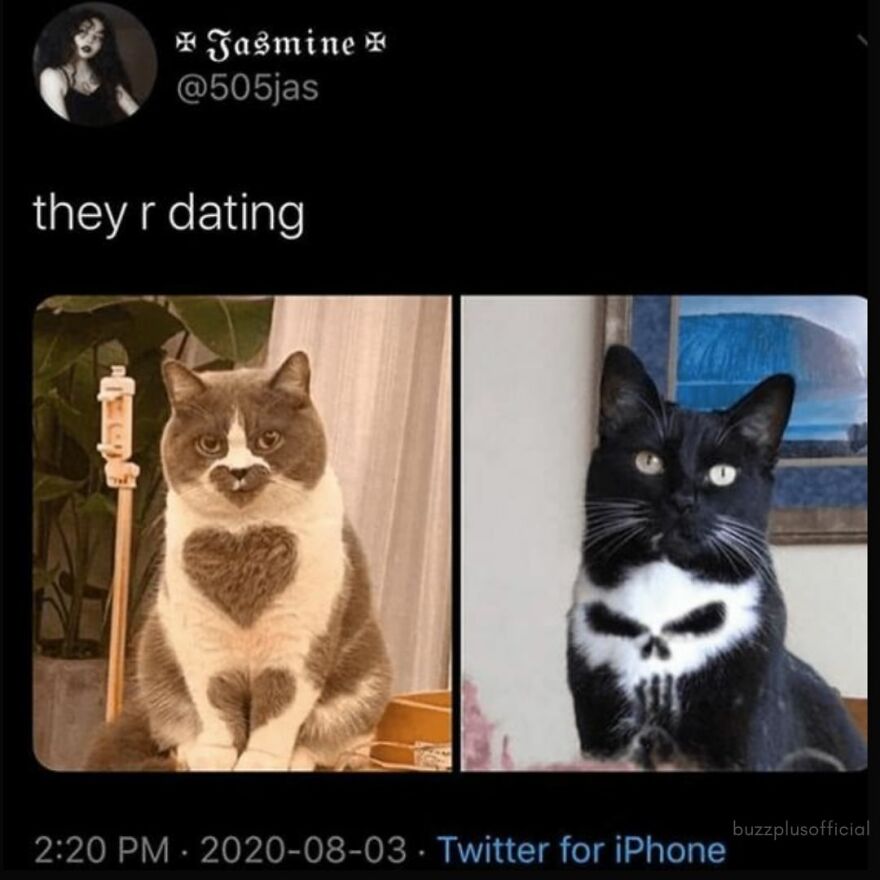 Funny Daily Memes For You Funny Daily Memes For You