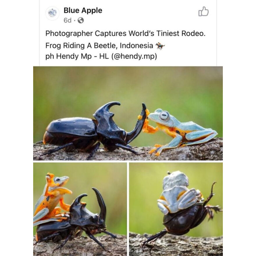 Funny Daily Memes For You Funny Daily Memes For You