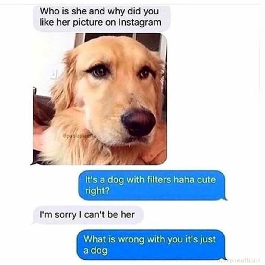 Funny Daily Memes For You Funny Daily Memes For You