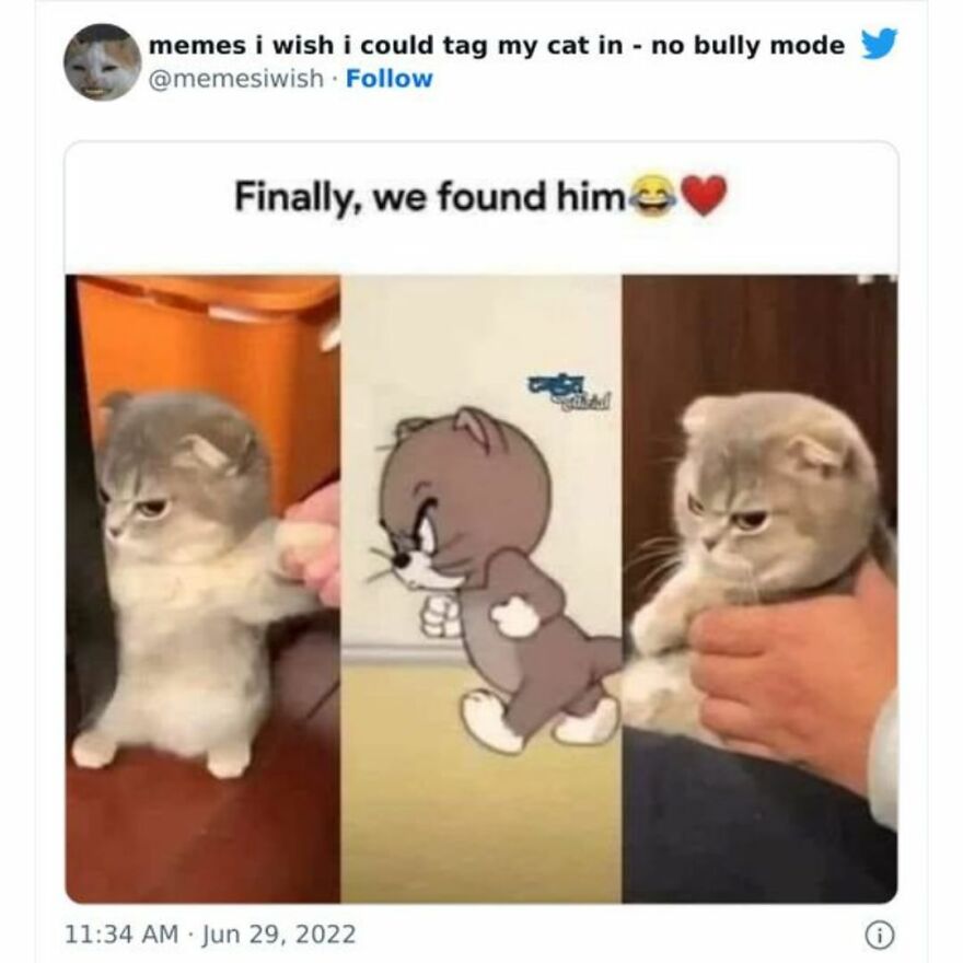 Funny Daily Memes For You Funny Daily Memes For You