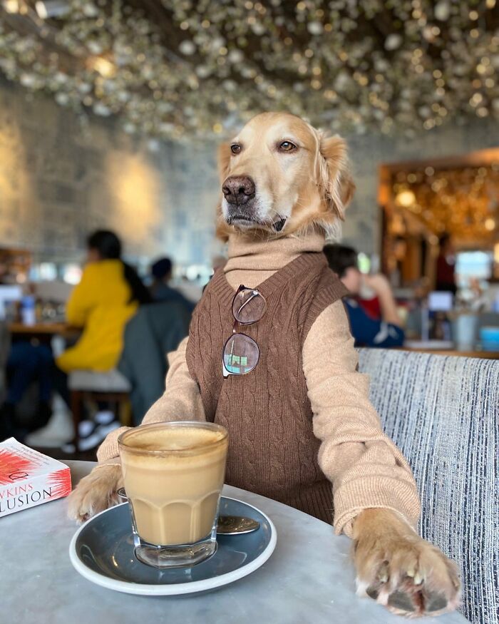 This Adorable Golden Retriever Dog Enjoys Making New Friends On Train Rides