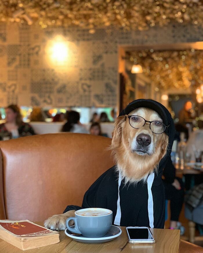 This Adorable Golden Retriever Dog Enjoys Making New Friends On Train Rides