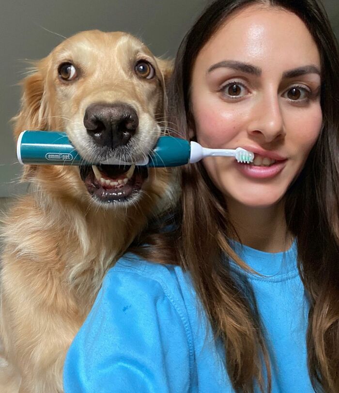 This Adorable Golden Retriever Dog Enjoys Making New Friends On Train Rides