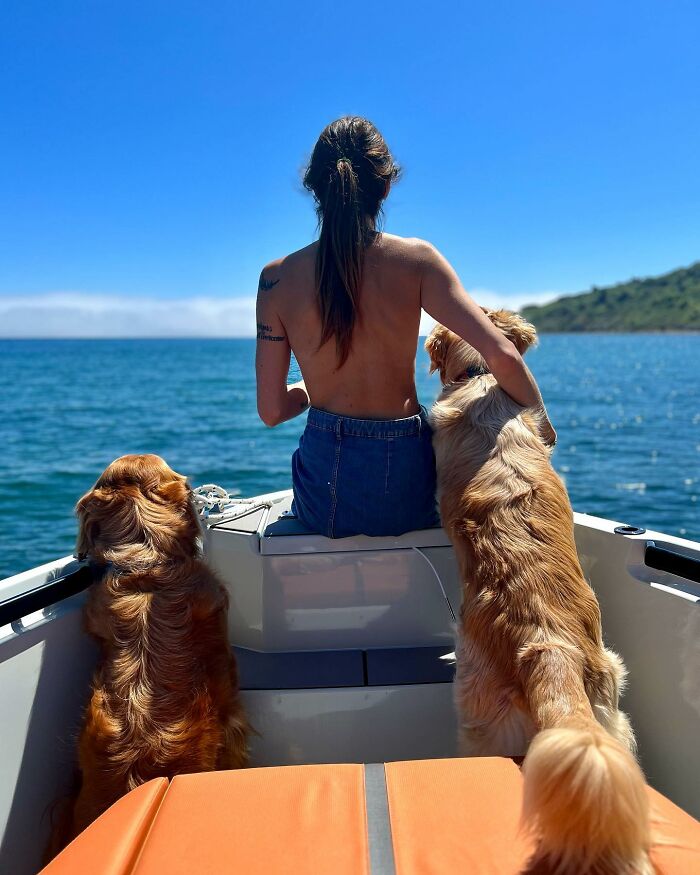 This Adorable Golden Retriever Dog Enjoys Making New Friends On Train Rides