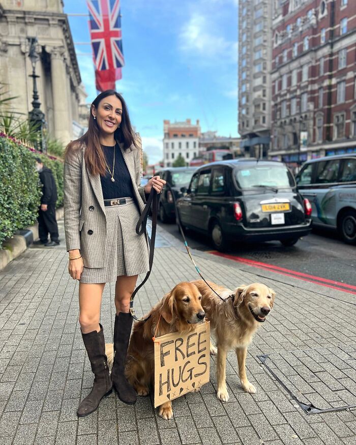 This Adorable Golden Retriever Dog Enjoys Making New Friends On Train Rides