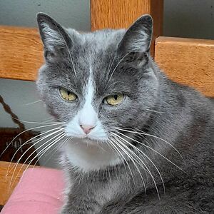 florence-colomb avatar