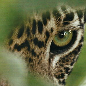 gianasophiaheiser avatar