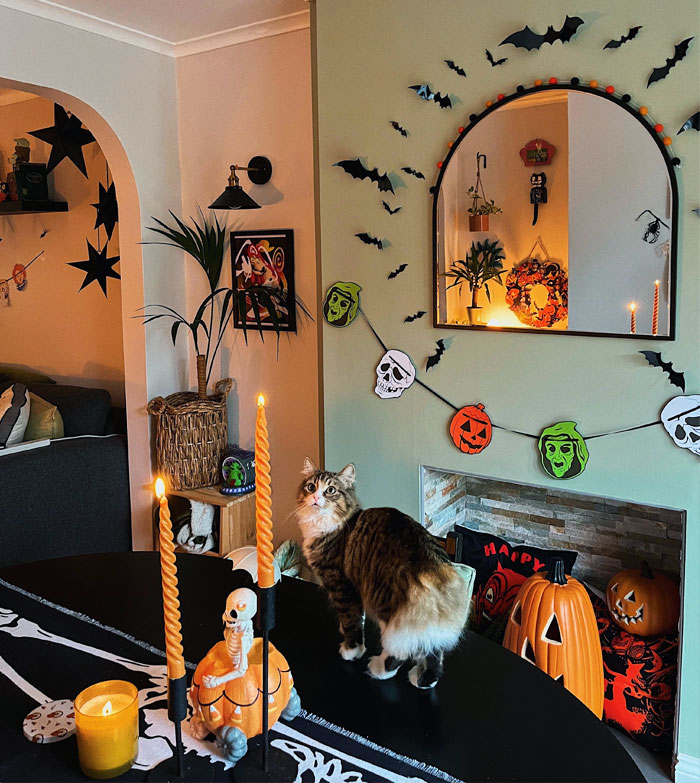 Feeling Cozy On This Rainy Evening