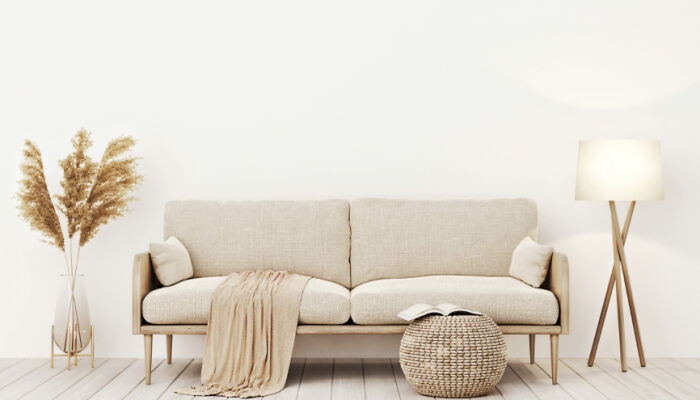 No Art Or Living Plants. Could Not Live Without Paintings, Graphics, Sculptures Etc. And Green Plants