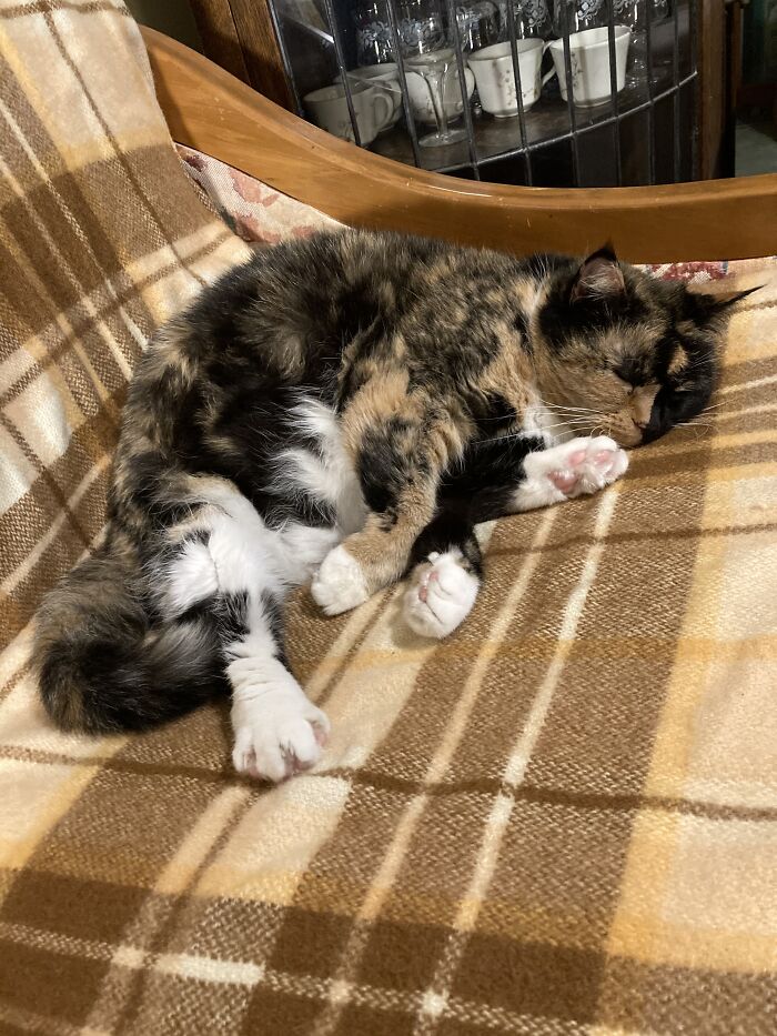 On The Couch Next To The Heater. Of Course