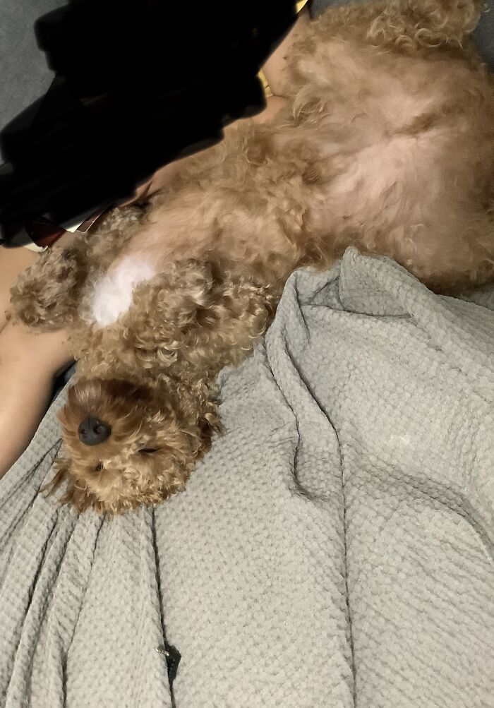 My Cat With My Niece