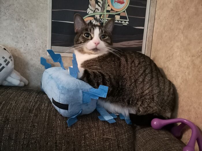 Tabitha On A Blue Axolotl