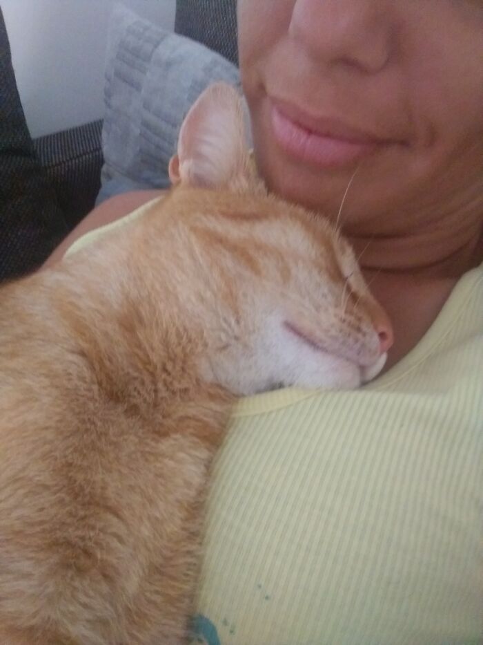 He's Favourite Spot To Sleep