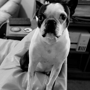 lacy_somersville avatar