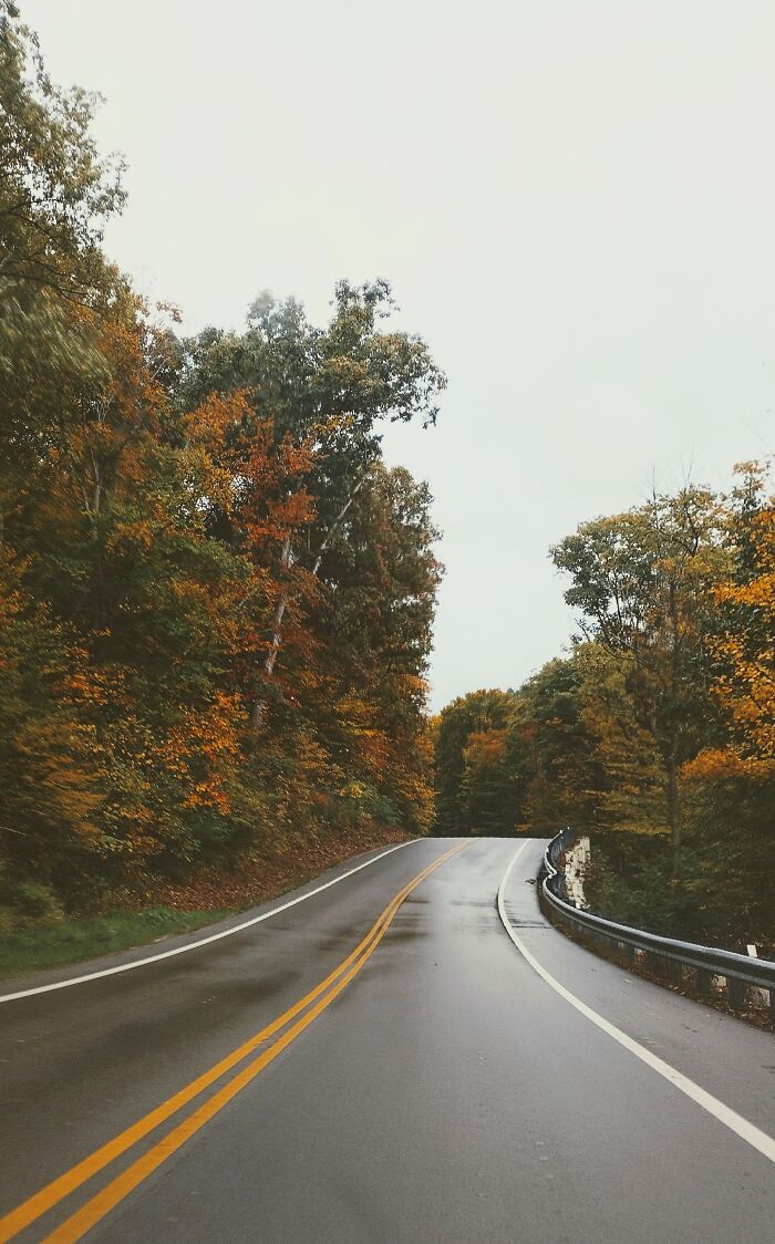 My Most Recent Favorite