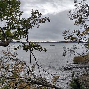 francispseudonym-jones avatar