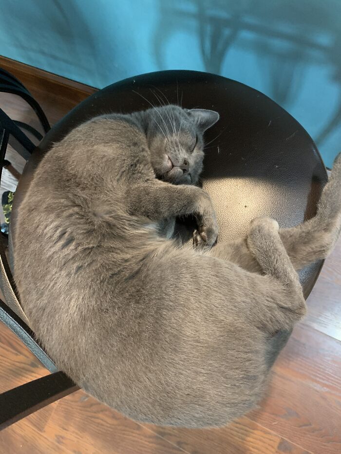 His Butt Was Hanging Off Of The Chair