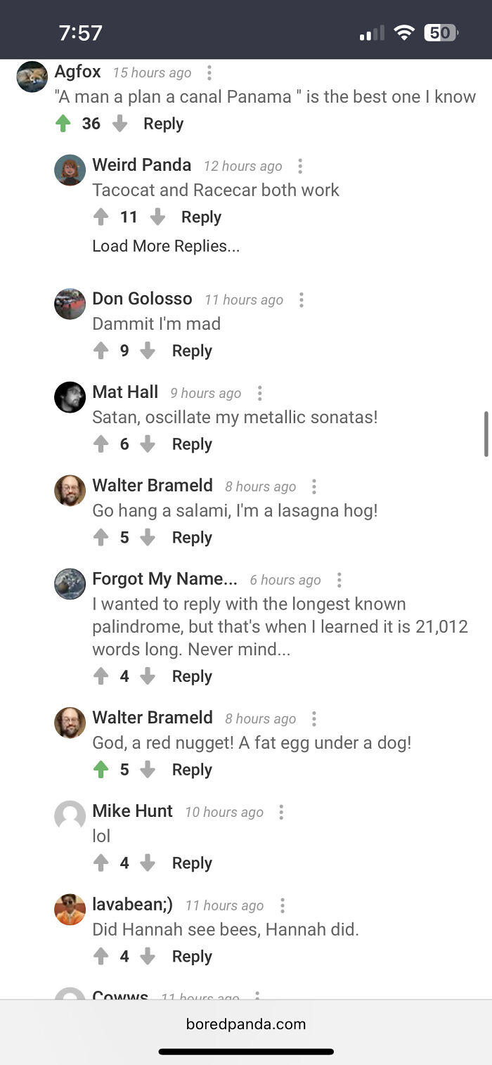 That Palindrome Thread