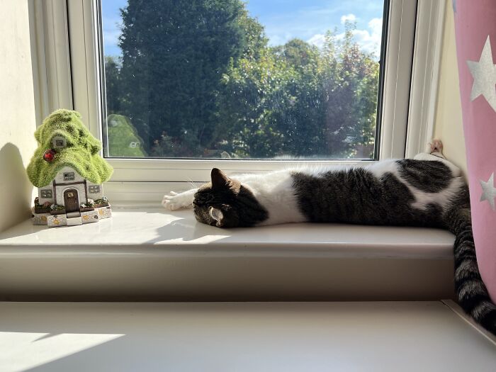 Sleep In Peace, Rosie