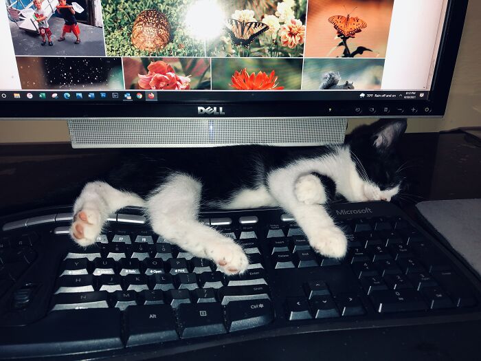 My Secretary Fell Asleep While Helping Me Choose Photos For My Calendar