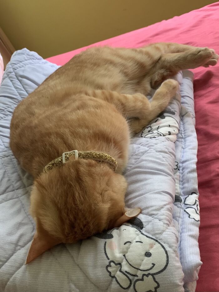 I Can’t Breathe…