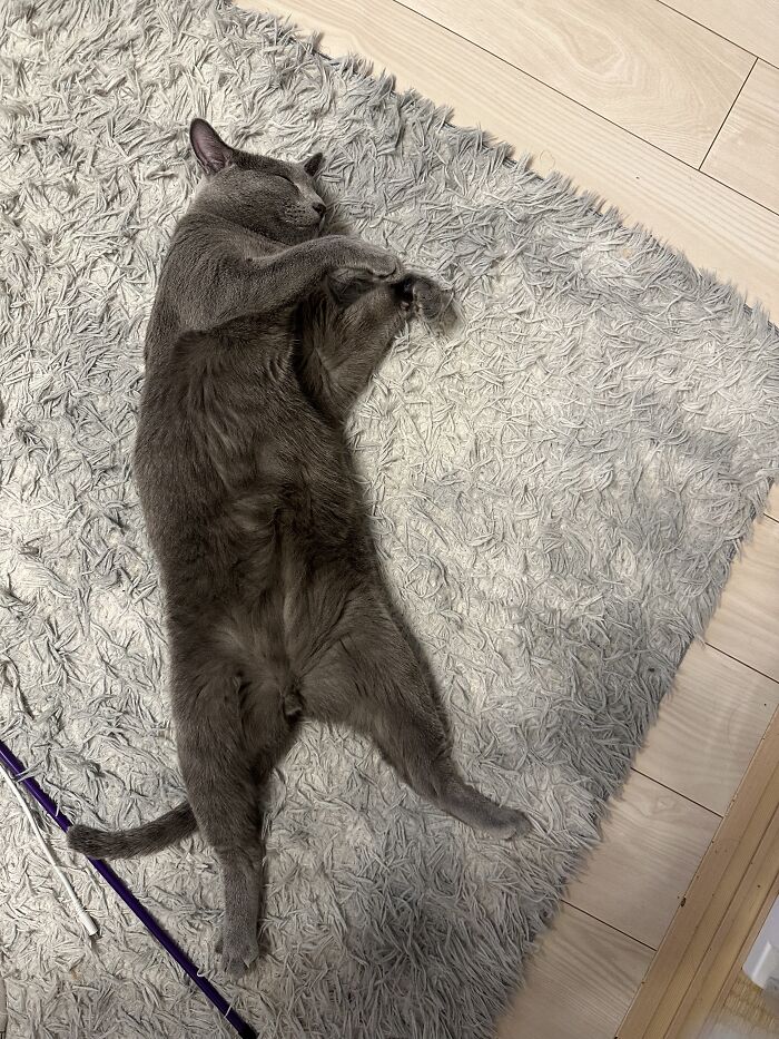 The “Honey Trap” Position