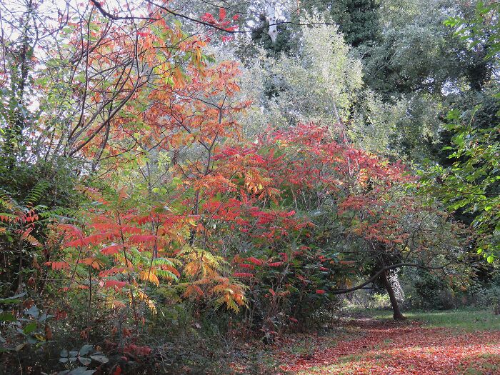 My Favorite Place, In Autumn Colors