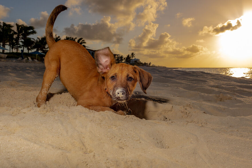 Shakira Was Quite A Digger!