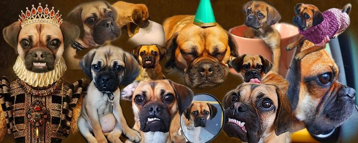 The Many Faces Of Laka