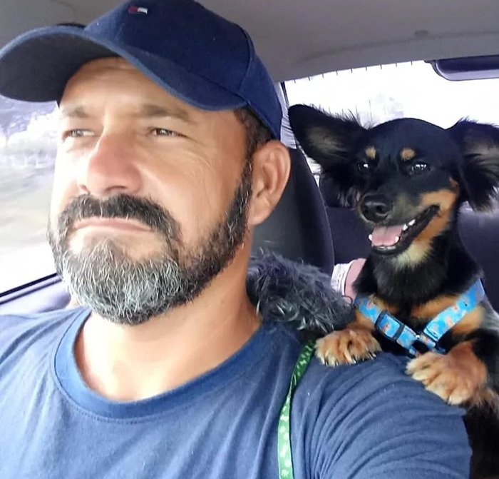 This Man Rescues Dogs In His Area And Decided To Build A Pool For The 27 He Has In His Care