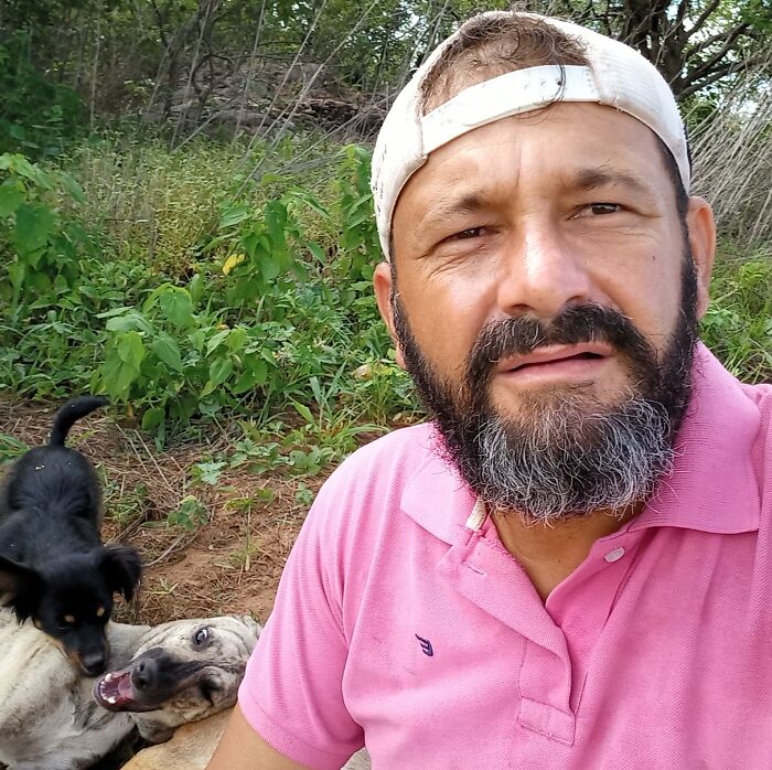 This Man Rescues Dogs In His Area And Decided To Build A Pool For The 27 He Has In His Care