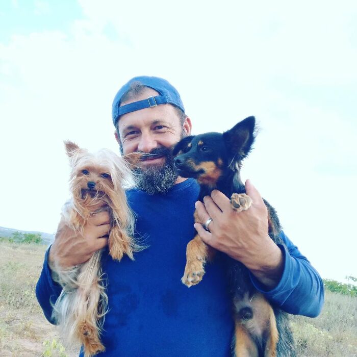 This Man Rescues Dogs In His Area And Decided To Build A Pool For The 27 He Has In His Care