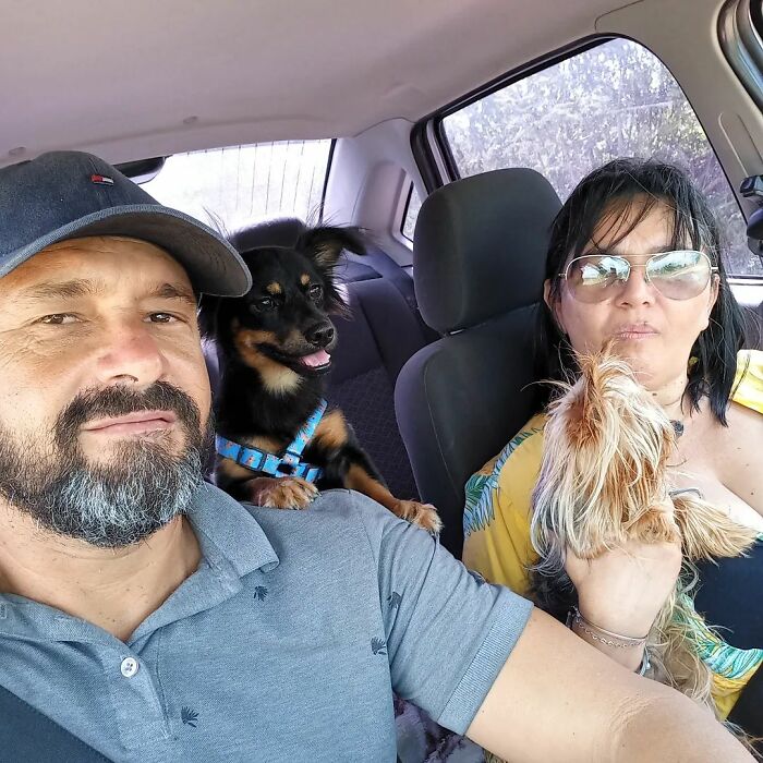 This Man Rescues Dogs In His Area And Decided To Build A Pool For The 27 He Has In His Care